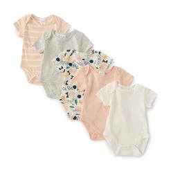 Budget 🤩 Starting Out Baby Girl Newborn-9 Months Multi 5-Pack Bodysuit Pink Multi ⌛